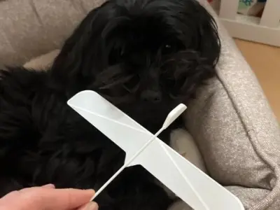 Plane glider 3D print model