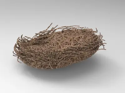 Bird Nest  Realistic Low-poly 3D model