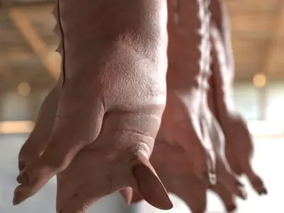 Slaughtered Pig Carcass Hanging for Blender 3D model