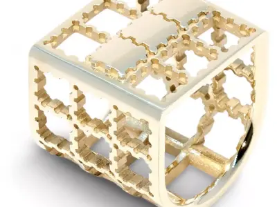Fishing Cage Ring Free 3D print model