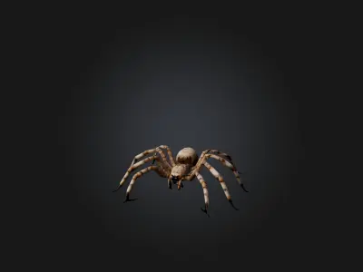 Giant Spider Low-poly 3D model purchase