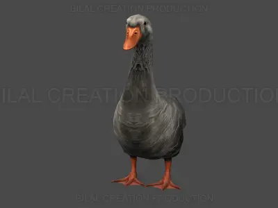 DUCK GRAY ANIMATED Low-poly 3D model