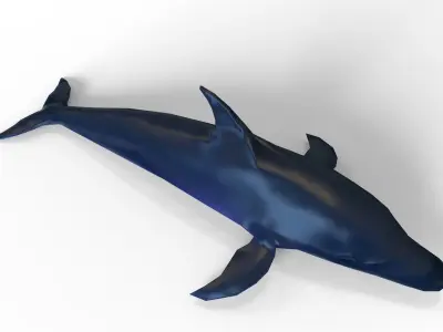 Dolphin game ready Low-poly 3D model