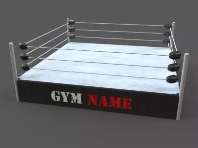PBR Modular Professional Wrestling Rings 20ftx20ft Low-poly 3D model