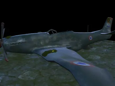 P51 Mustang Damage Low-poly 3D model