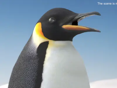  Antarctic Penguin Male Adult Fur 