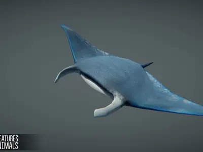 Sea Creatures Low-poly 3D model