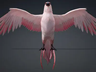 Hawk-A3 3D model