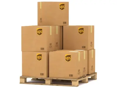 UPS Cardboard Box with Pallet 3D model