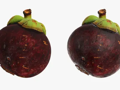  Mangosteen Collection 