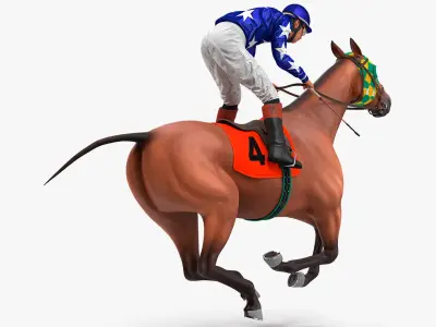 Bay Racing Horse with Jokey Gallop  purchase 3D model