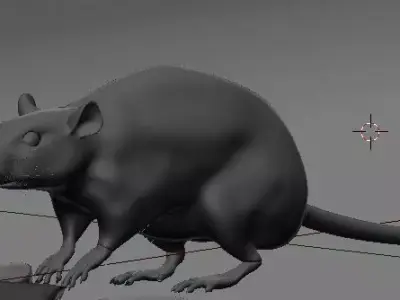 Rat model 3D model