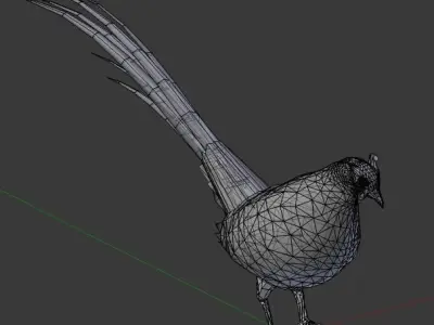 Pheasant 3D model buy