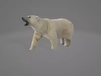Animated Polarbear 3D model