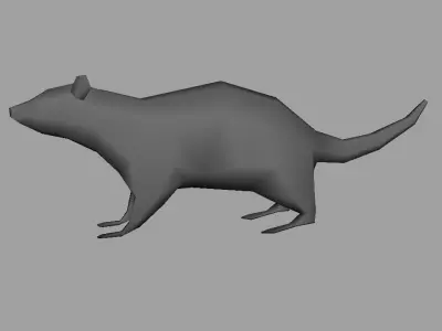 Low Poly Rat model cat Low-poly 3D model