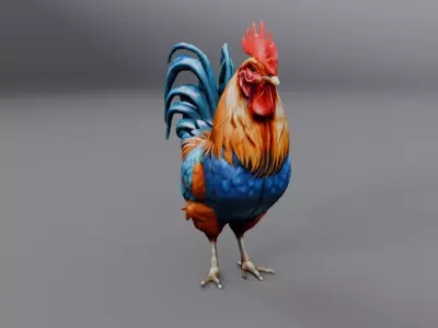 blue feather rooster 3D model