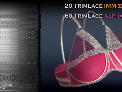 Trim lace 20 IMM Curve Pack Zbrush Brushes Low-poly 3D model