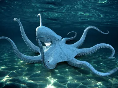 Giant Octopus RIG 3D model