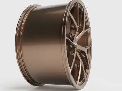 BBS FI-R 3D model