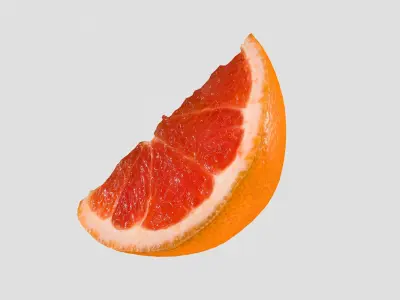 Slice of a Grapefruit 3D model