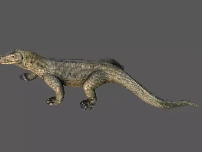 Komodo dragon Low-poly 3D model