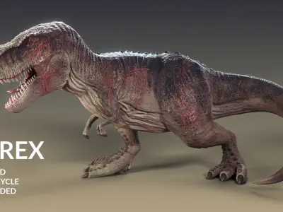Tyrannosaurus Rex Blender Rigged t-rex 3D model