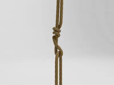 Sample ropes 3d models set 3D model