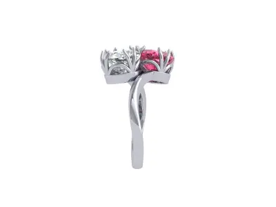 2-Stone-Ring 3D print model order