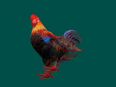 Rooster 3D model purchase