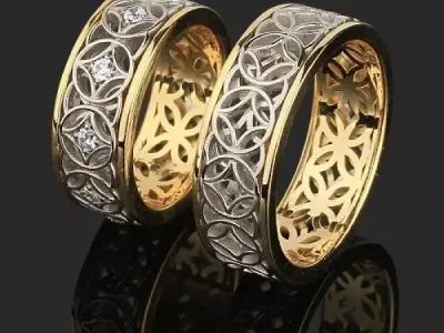 two rings 3D model
