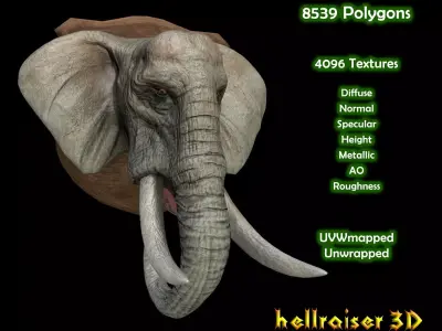 Elephant Head - PBR - Textured Low-poly 3D model