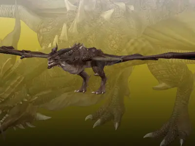 Dragon Wyvern  3D model