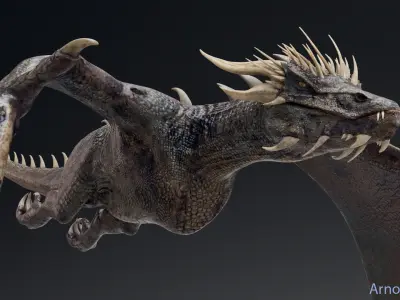 Dinosaur Wyvern Type Dragon 1 Low-poly 3D model