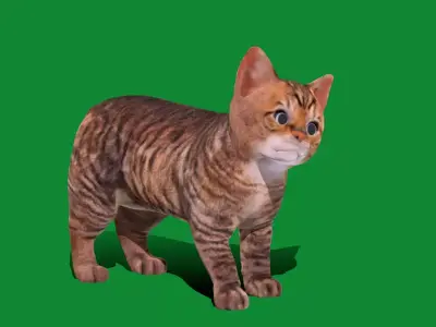 Kitten Toyger Cat Free low-poly 3D model