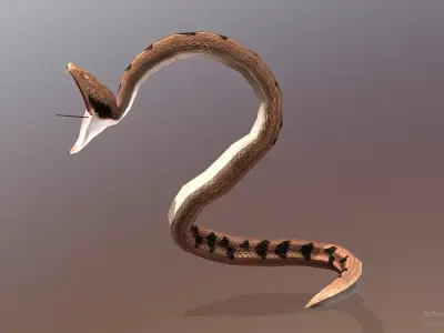 Sand Snake Attack Anihilation Animation 3D model