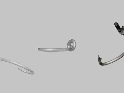 FishHooks pair of hooks 3D model
