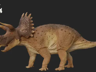Triceratops Low-poly 3D model 4