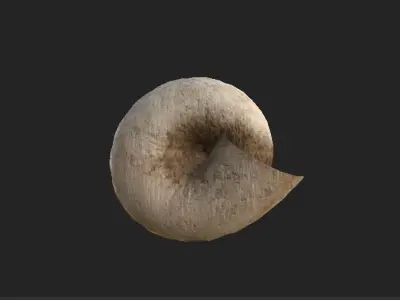 shell 3D model