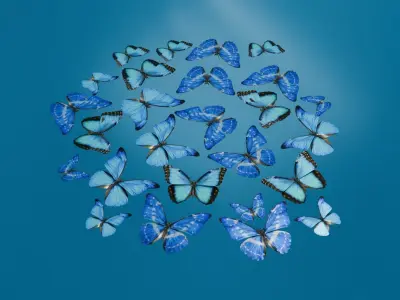 butterfly Low-poly 3D model 3