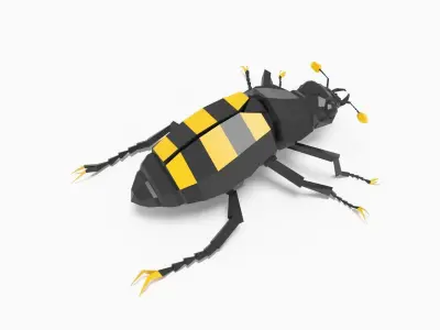 Bug low poly beetle 3D model