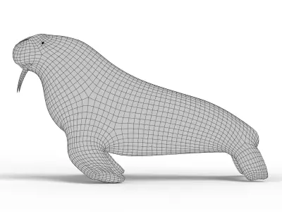 Walrus Base Mesh Low-poly 3D model