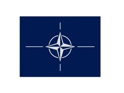 Nato Flag 3D Model Low-poly 3D model