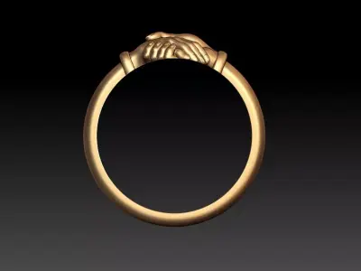 Hand Ring V1 M88 3D print model