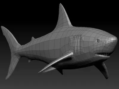 3D SHARK Low-poly 3D model