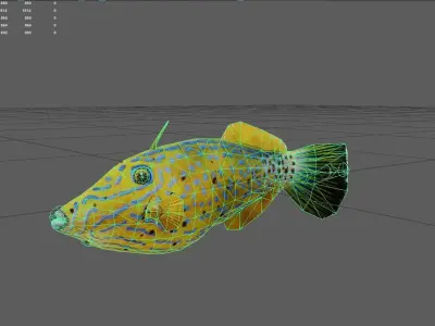 Filefish Low-poly 3D model