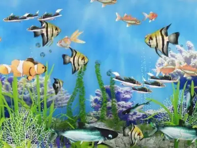 aquarium fish tank 3D model