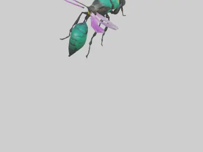 Cattleya Orchid bee flying model 3D model