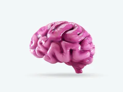 Cartoon Brain 3D model