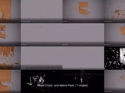 Wood Crack  and debris Pack