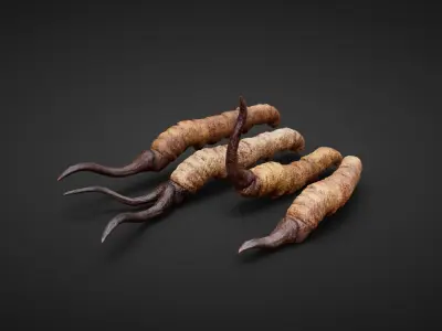 insect Low-poly 3D model